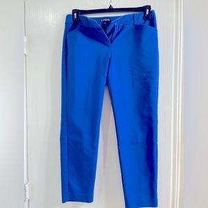Stunning Royal Blue Express Editor Ankle Pants